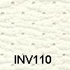 INV110 (Den vitaste av de två)