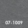 07-1009