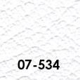 07-534