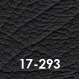 17-293