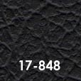17-848