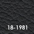 18-1981