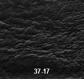 Svart/Black  Elk GM